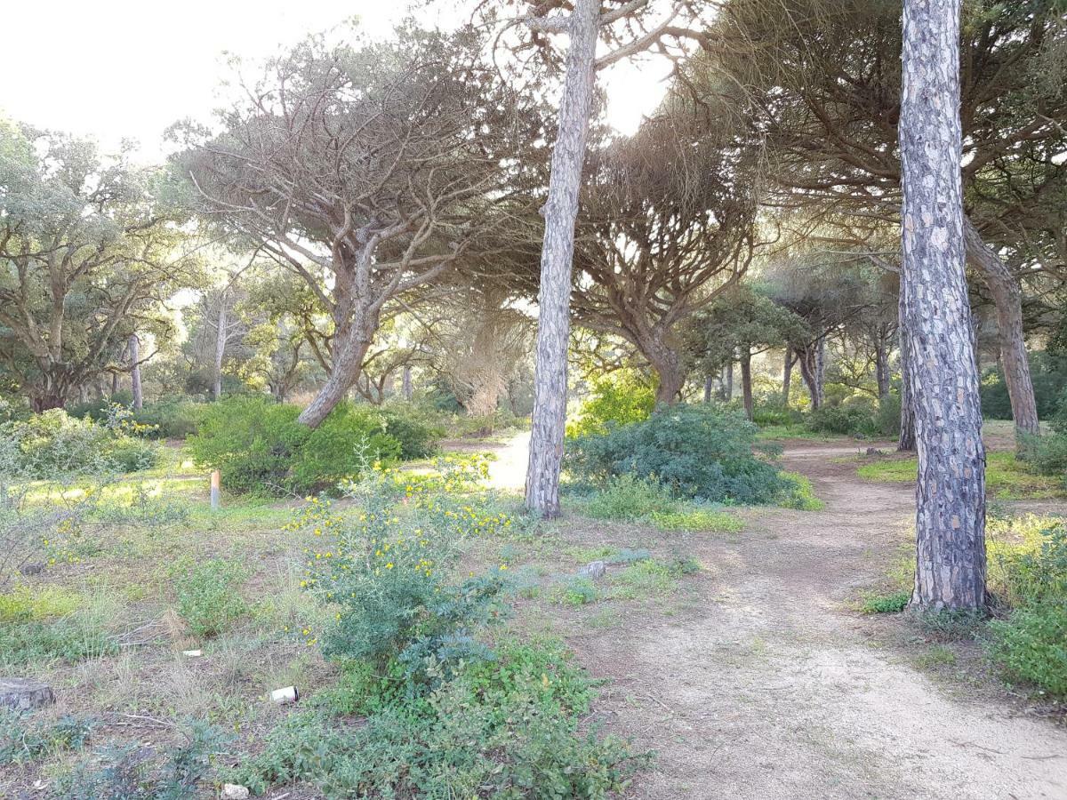 Apartamento Pinar Del Atlantico-La Barrosa Chiclana de la Frontera Eksteriør bilde